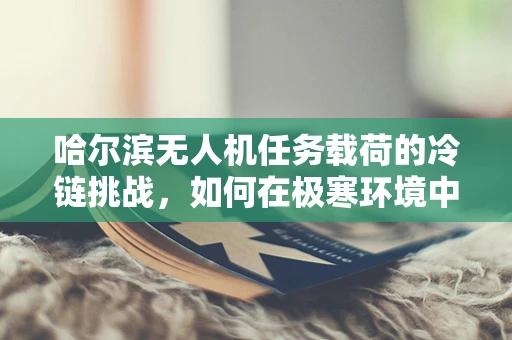 哈尔滨无人机任务载荷的冷链挑战，如何在极寒环境中保障数据传输稳定性？