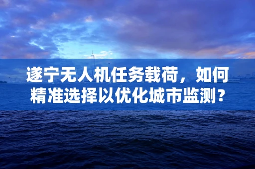 遂宁无人机任务载荷，如何精准选择以优化城市监测？