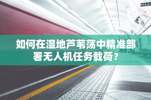 如何在湿地芦苇荡中精准部署无人机任务载荷？