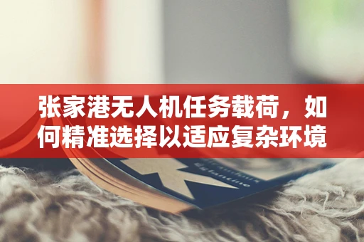 张家港无人机任务载荷，如何精准选择以适应复杂环境？