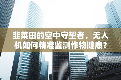 韭菜田的空中守望者，无人机如何精准监测作物健康？