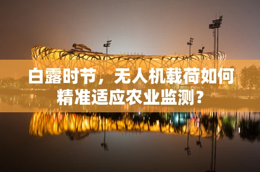 白露时节，无人机载荷如何精准适应农业监测？