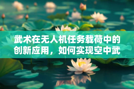 武术在无人机任务载荷中的创新应用，如何实现空中武术表演的精准控制？