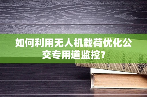 如何利用无人机载荷优化公交专用道监控？