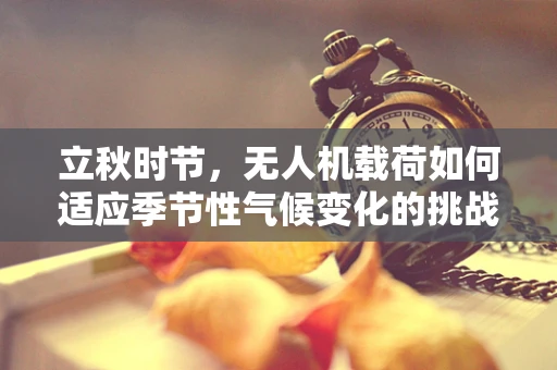 立秋时节，无人机载荷如何适应季节性气候变化的挑战？