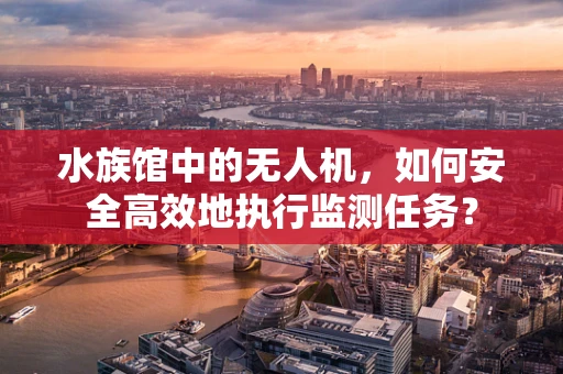 水族馆中的无人机，如何安全高效地执行监测任务？