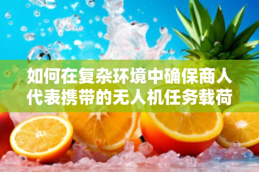 如何在复杂环境中确保商人代表携带的无人机任务载荷安全传输？