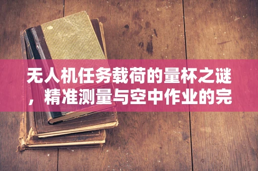 无人机任务载荷的量杯之谜，精准测量与空中作业的完美融合
