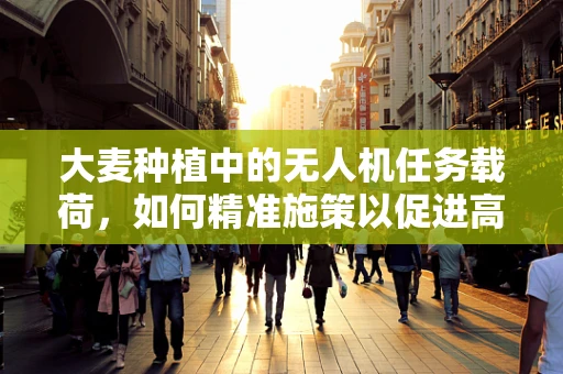 大麦种植中的无人机任务载荷，如何精准施策以促进高效生长？