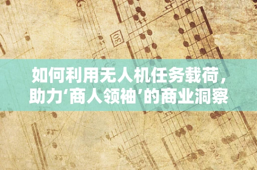 如何利用无人机任务载荷，助力‘商人领袖’的商业洞察与决策？