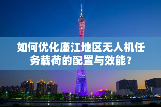 如何优化廉江地区无人机任务载荷的配置与效能？