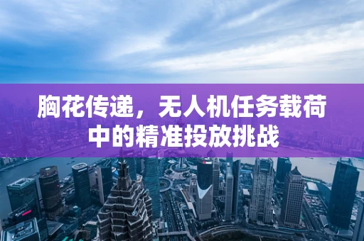 胸花传递，无人机任务载荷中的精准投放挑战