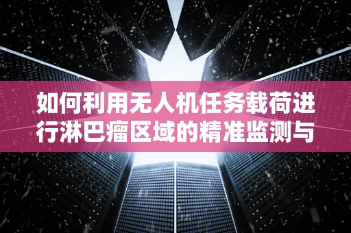 如何利用无人机任务载荷进行淋巴瘤区域的精准监测与评估？