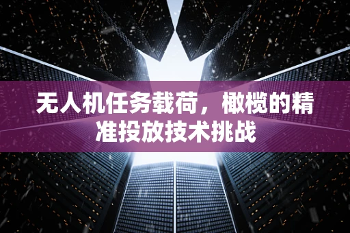 无人机任务载荷，橄榄的精准投放技术挑战