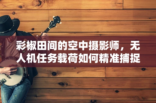 彩椒田间的空中摄影师，无人机任务载荷如何精准捕捉作物生长细节？