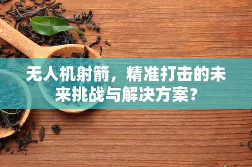 无人机射箭，精准打击的未来挑战与解决方案？