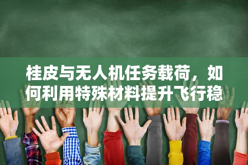 桂皮与无人机任务载荷，如何利用特殊材料提升飞行稳定性？