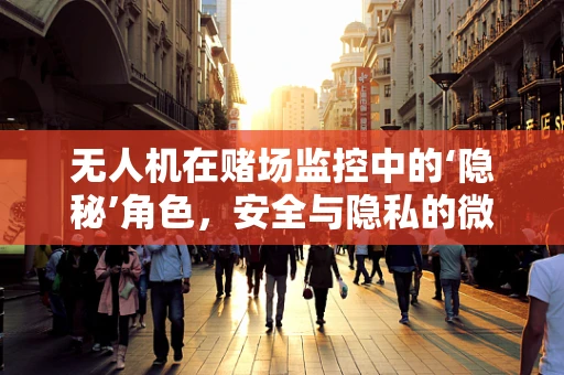无人机在赌场监控中的‘隐秘’角色，安全与隐私的微妙平衡？