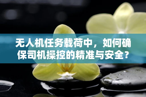 无人机任务载荷中，如何确保司机操控的精准与安全？