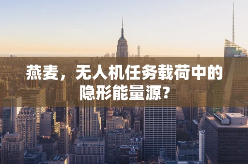 燕麦，无人机任务载荷中的隐形能量源？