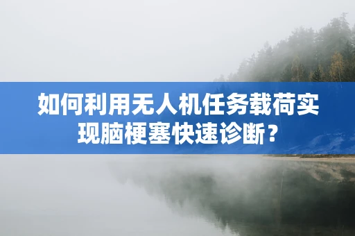 如何利用无人机任务载荷实现脑梗塞快速诊断？