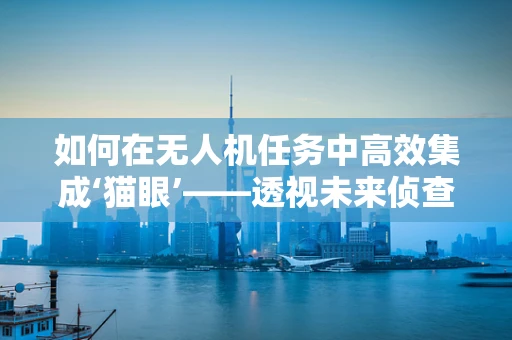 如何在无人机任务中高效集成‘猫眼’——透视未来侦查的挑战与机遇？