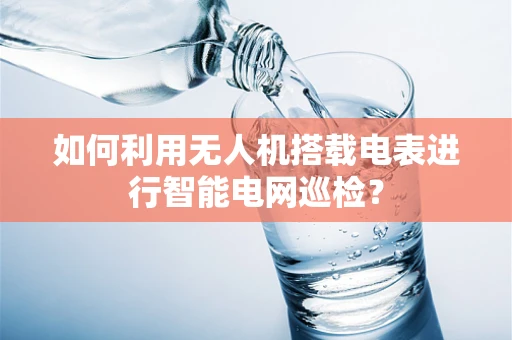 如何利用无人机搭载电表进行智能电网巡检？