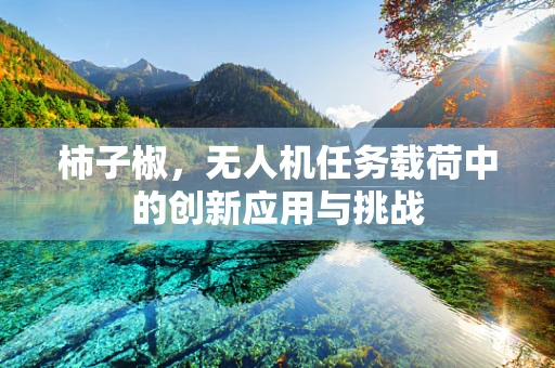 柿子椒，无人机任务载荷中的创新应用与挑战