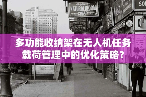 多功能收纳架在无人机任务载荷管理中的优化策略？
