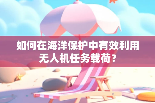 如何在海洋保护中有效利用无人机任务载荷？