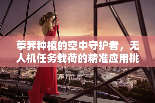 荸荠种植的空中守护者，无人机任务载荷的精准应用挑战