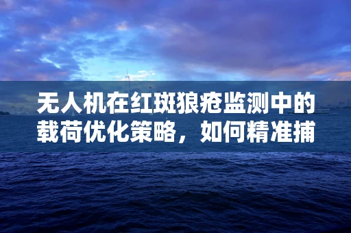 无人机在红斑狼疮监测中的载荷优化策略，如何精准捕捉疾病迹象？