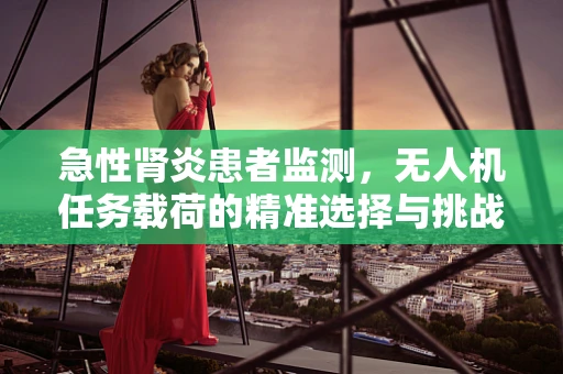 急性肾炎患者监测，无人机任务载荷的精准选择与挑战