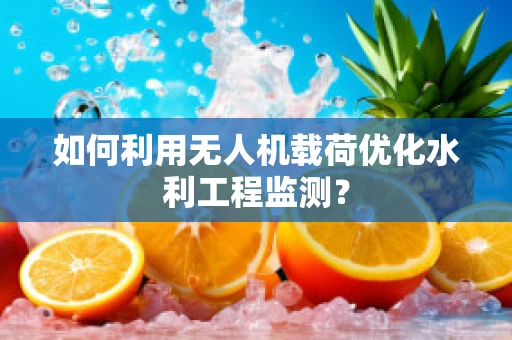 如何利用无人机载荷优化水利工程监测？