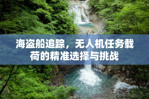 海盗船追踪，无人机任务载荷的精准选择与挑战