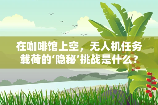 在咖啡馆上空，无人机任务载荷的‘隐秘’挑战是什么？