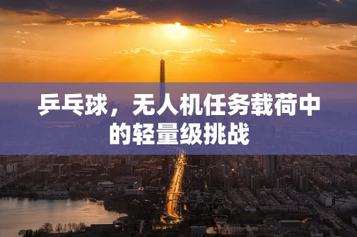 乒乓球，无人机任务载荷中的轻量级挑战