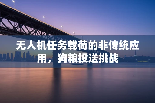 无人机任务载荷的非传统应用，狗粮投送挑战