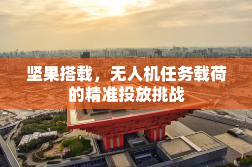 坚果搭载，无人机任务载荷的精准投放挑战