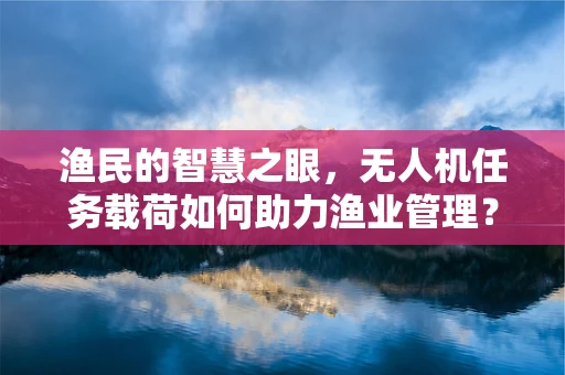 渔民的智慧之眼，无人机任务载荷如何助力渔业管理？