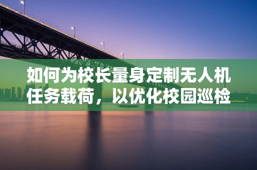 如何为校长量身定制无人机任务载荷，以优化校园巡检与安全监控？