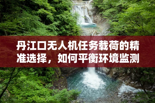 丹江口无人机任务载荷的精准选择，如何平衡环境监测与数据安全？