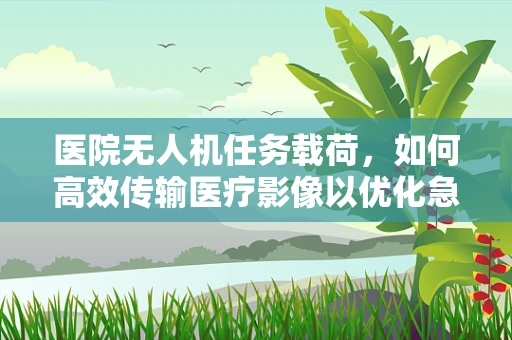 医院无人机任务载荷，如何高效传输医疗影像以优化急诊决策？