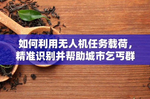 如何利用无人机任务载荷，精准识别并帮助城市乞丐群体？