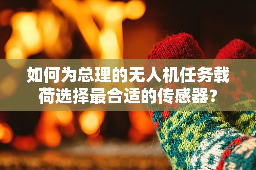 如何为总理的无人机任务载荷选择最合适的传感器？