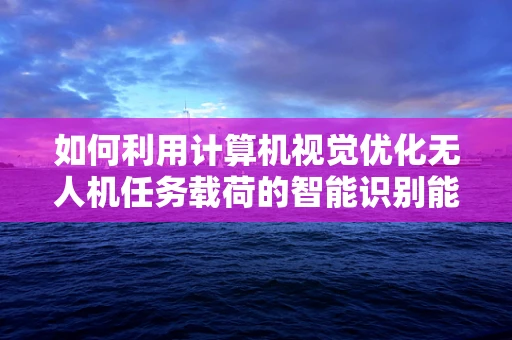 如何利用计算机视觉优化无人机任务载荷的智能识别能力？