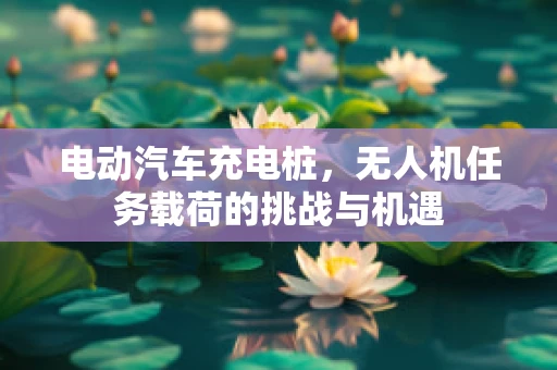 电动汽车充电桩，无人机任务载荷的挑战与机遇