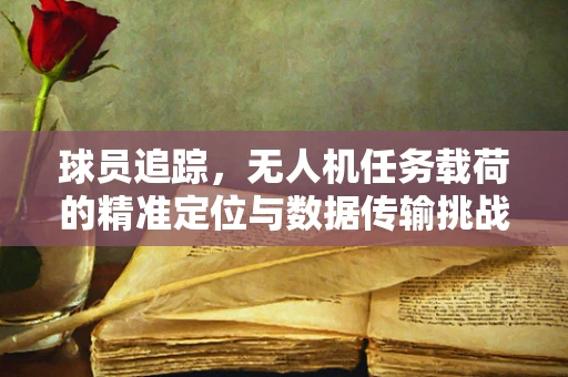 球员追踪，无人机任务载荷的精准定位与数据传输挑战