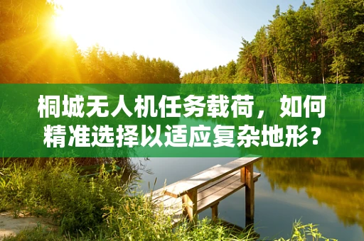 桐城无人机任务载荷，如何精准选择以适应复杂地形？
