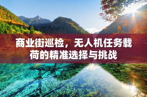 商业街巡检，无人机任务载荷的精准选择与挑战